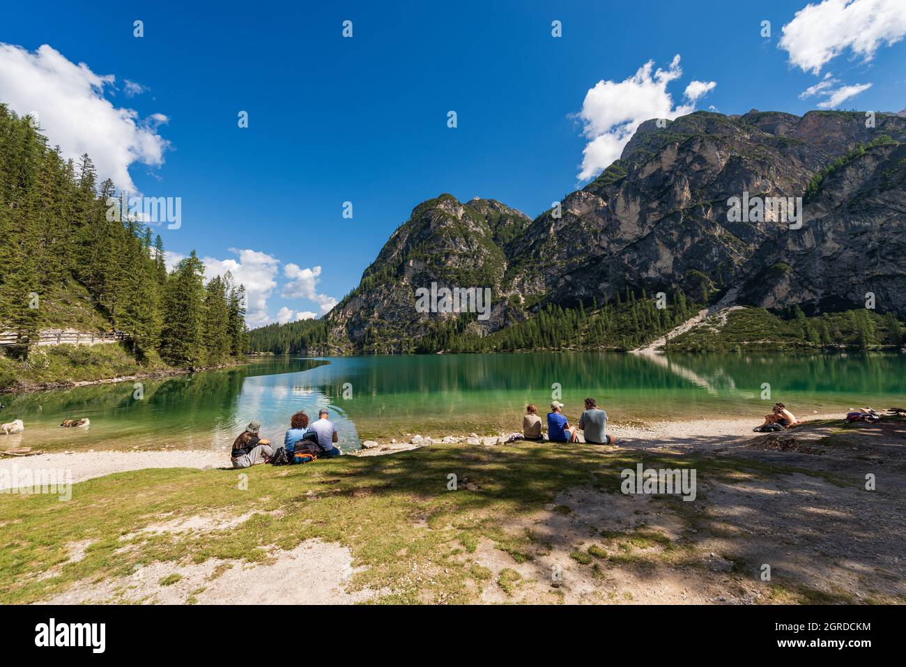 Pragser Wildsee, Bergsee und die Gipfel des Sasso del Signore, Dolomiten, Trentino-Südtirol, Bozen, Italien, Europa. Stockfoto