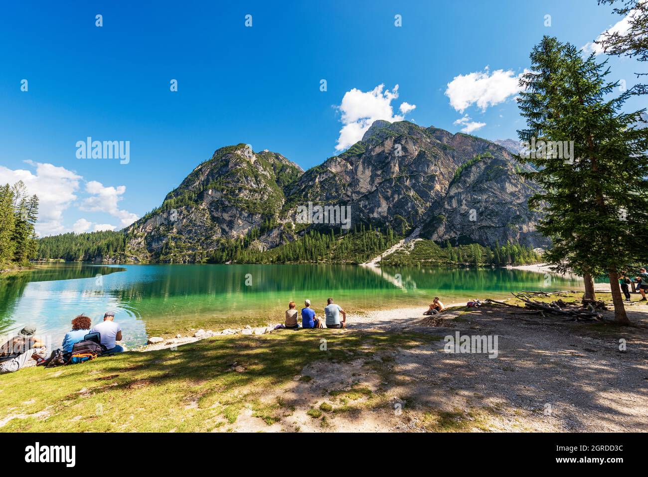 Pragser Wildsee, Bergsee und die Gipfel des Sasso del Signore, Dolomiten, Trentino-Südtirol, Bozen, Italien, Europa. Stockfoto