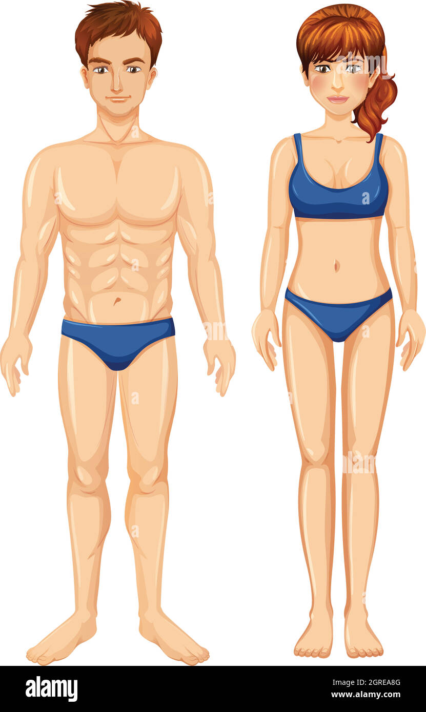 Leere Figur von männlich und weiblich Stock Vektor