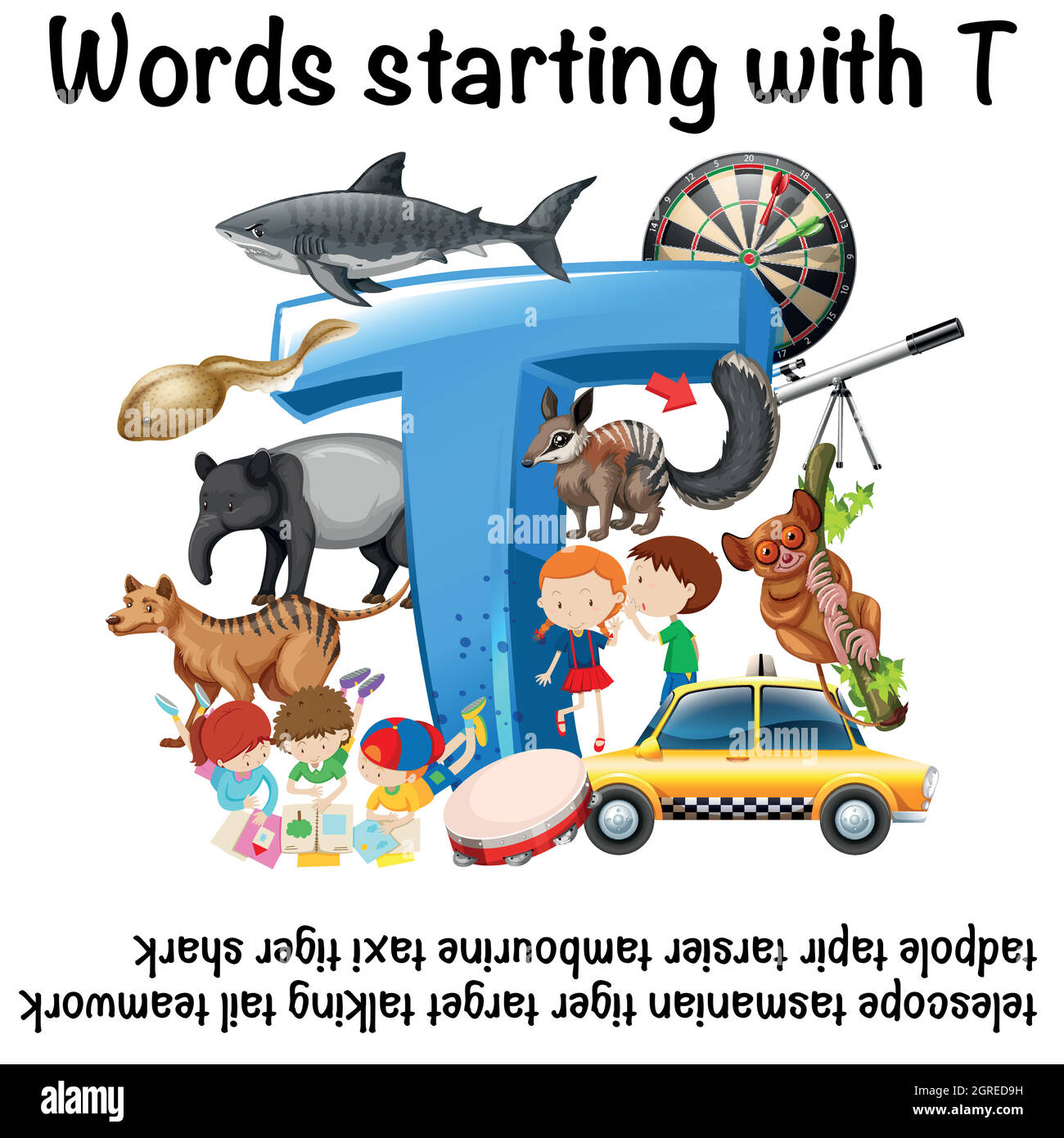 Englische Wörter, die mit T beginnen Stock Vektor