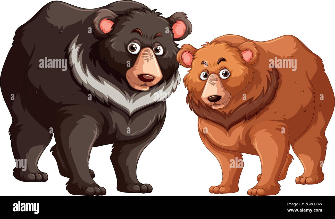 Schwarze und braune Bären Stock Vektor