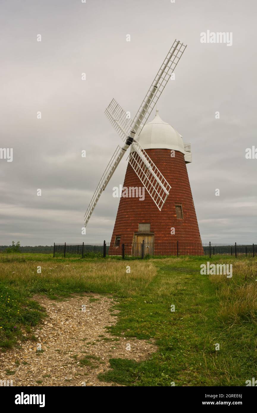 Windmühle Halnaker bei Chichester an den South Downs in West Sussex, England Stockfoto