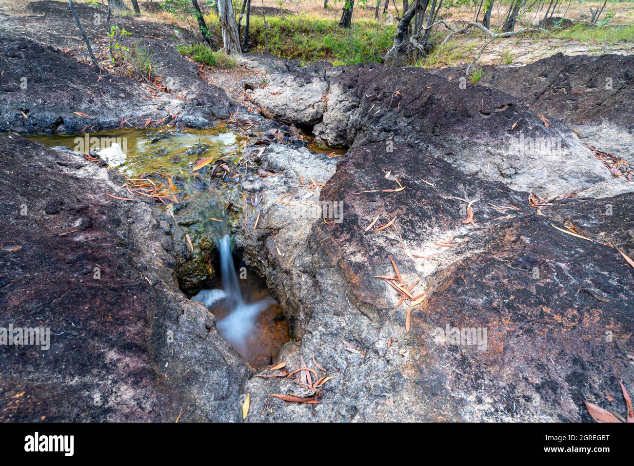 Cave Creek in der Moreton Telegraph Station, Cape York Peninsula, North Queensland, Australien Stockfoto