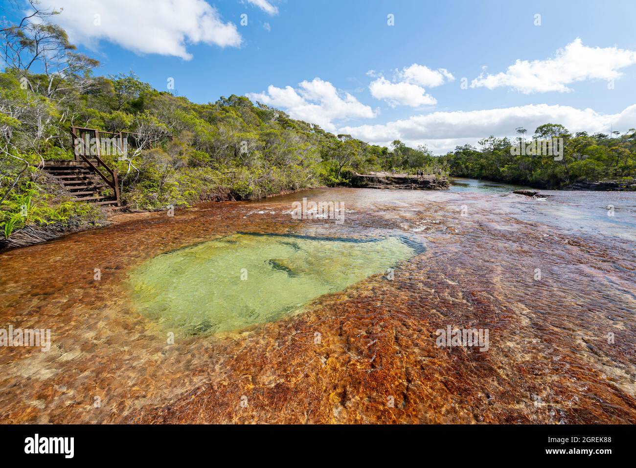 Flaches Felsregal und Tauchbecken auf der flussaufwärts gelegenen Seite der Fruit bat Falls, Eliot Creek, Jardine River National Park, Cape York Peninsula, Queensland Stockfoto