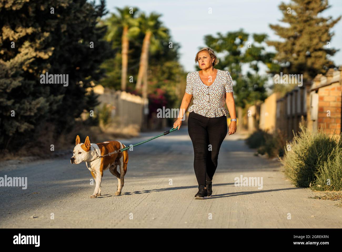 Frau, die auf einer unbefestigten Straße mit einem Hund unterwegs ist Stockfoto