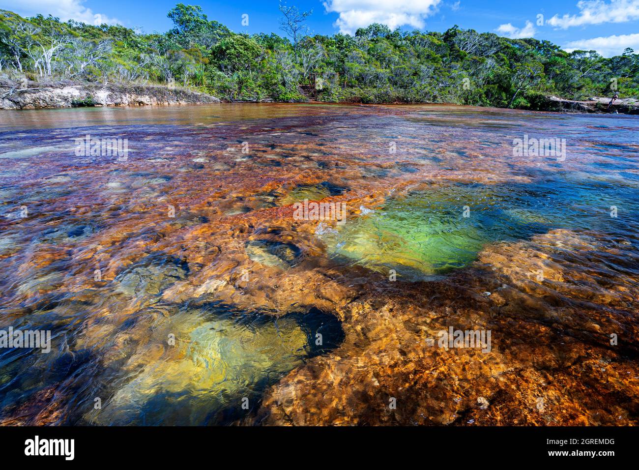 Flaches Felsregal und Tauchbecken auf der flussaufwärts gelegenen Seite der Fruit bat Falls, Eliot Creek, Jardine River National Park, Cape York Peninsula, Queensland Stockfoto