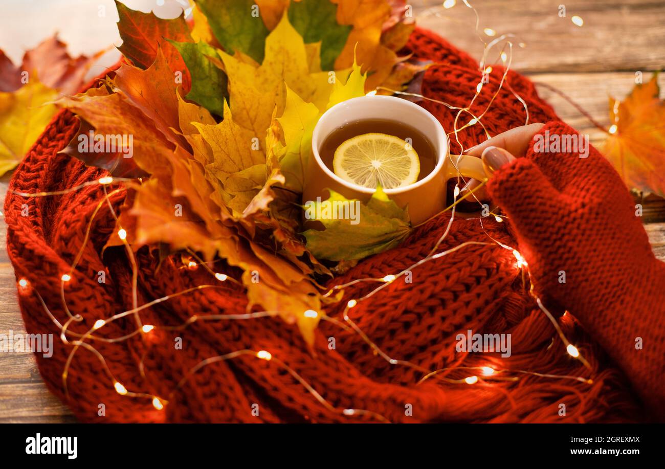Herbstliche warme Komposition in roten Tönen auf Holzgrund mit einer Tasse Tee, Girlande. Stockfoto