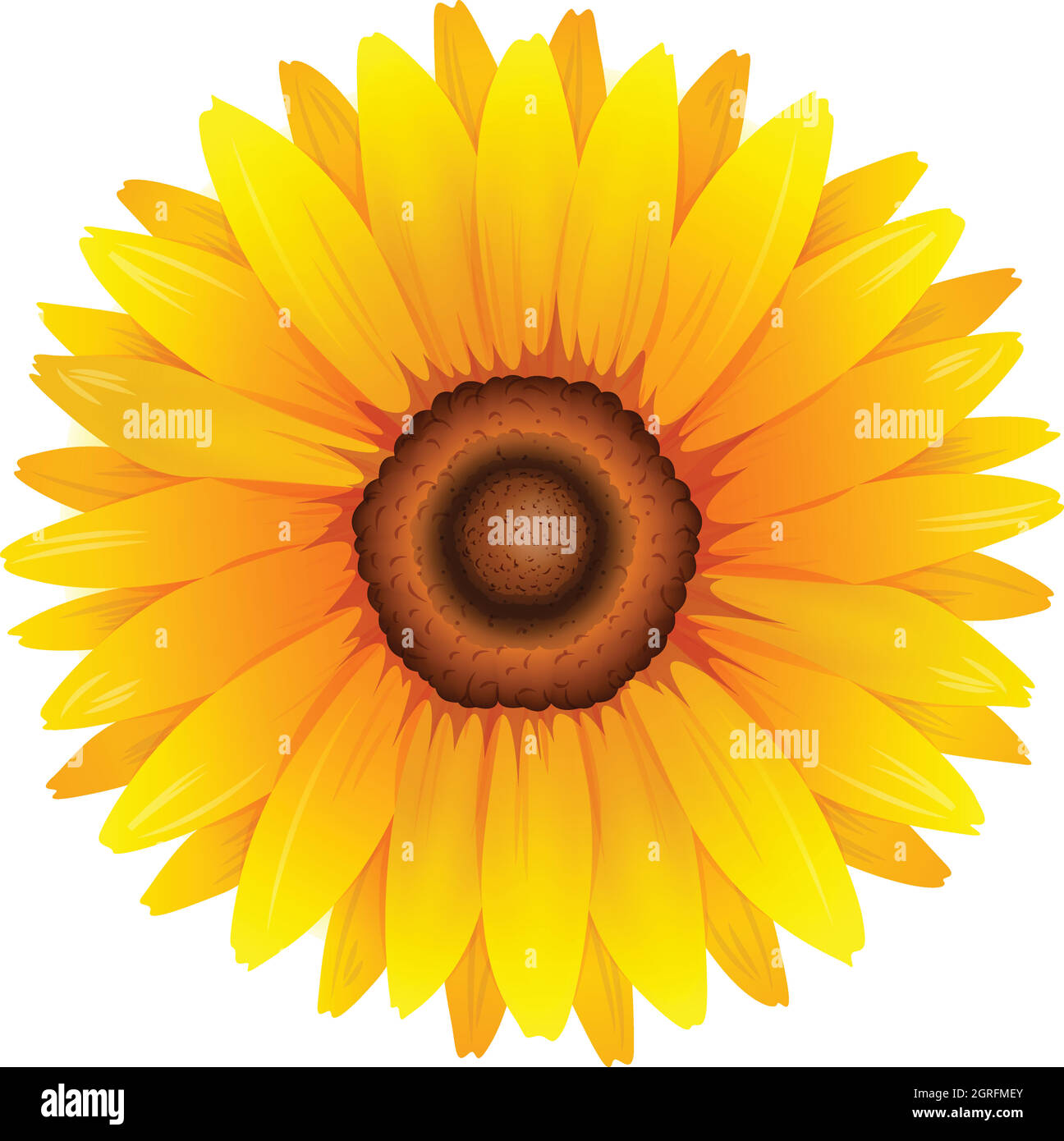 Sonnenblume Stock Vektor