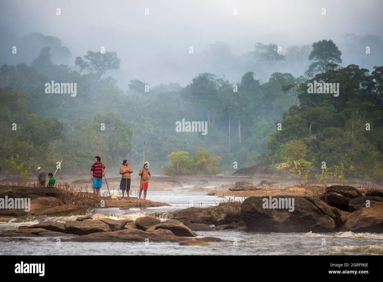 Frankreich, Französisch-Guayana, Parc Amazonien de Guyane, Camopi, in den frühen Morgenstunden eine indianische Teko-Familie während einer Nivrée auf dem Oyapock, traditionelle Fischerei in der Trockenzeit unter Verwendung einer Liane (Hali hali), die, einmal zerkleinert und eingetaucht, Rotenon, sehr giftige, erstickende Fische diffundiert, Das aktive Molekül dringt nicht in die Muskeln der Fische ein, letztere können gefahrlos verzehrt werden Stockfoto