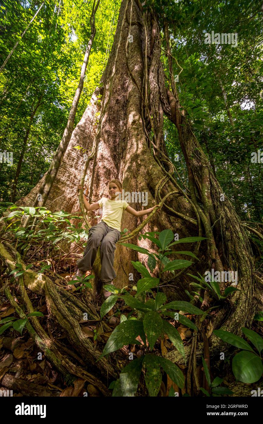 Liane Fotos und Bildmaterial in hoher Auflösung Alamy