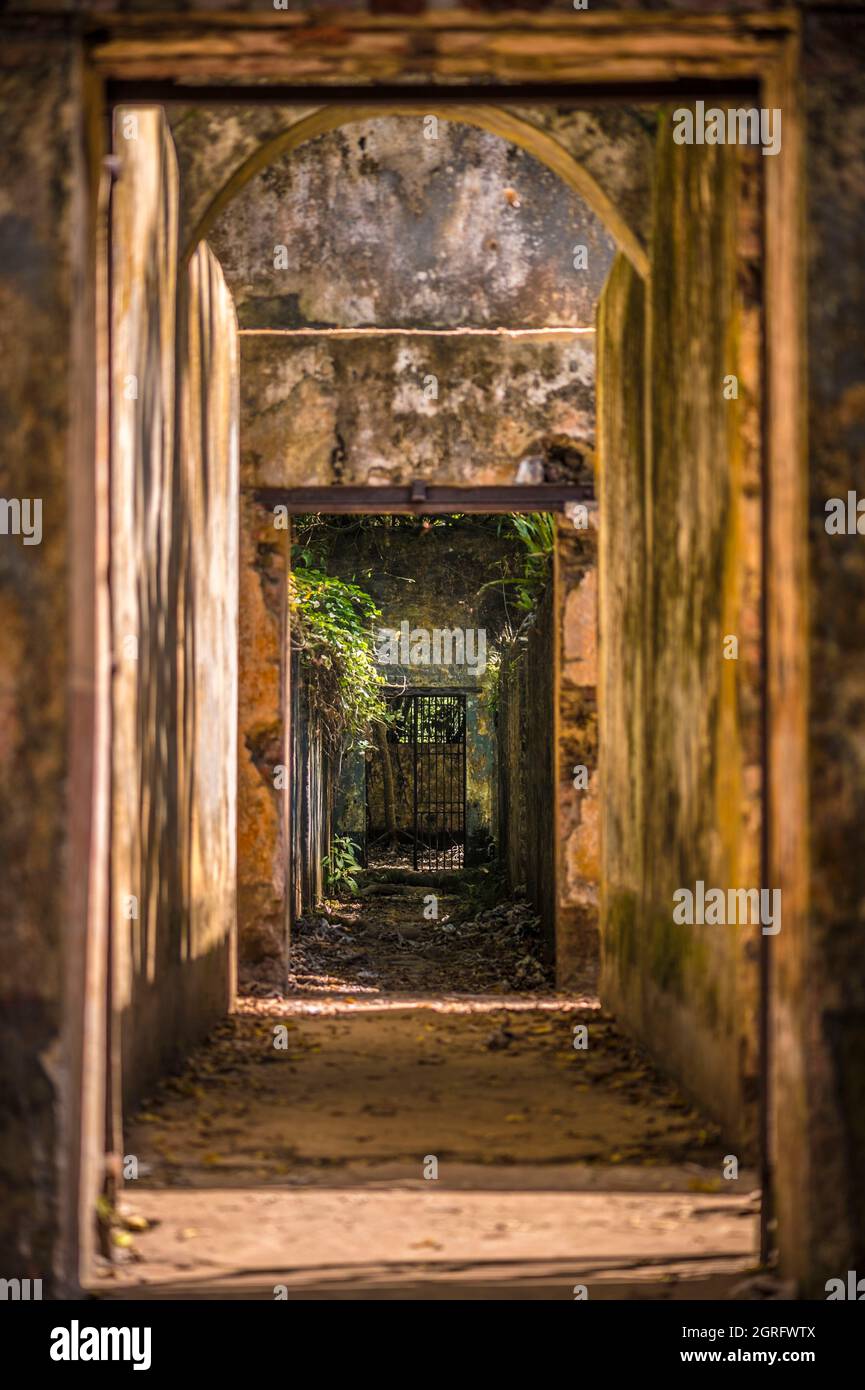 Frankreich, Französisch-Guayana, Kourou, Heilsinseln, Saint-Joseph-Insel und die Überreste des Gefängnisses, das der Abgeschiedenheit der starken Köpfe und der Entkommenen gewidmet ist Stockfoto