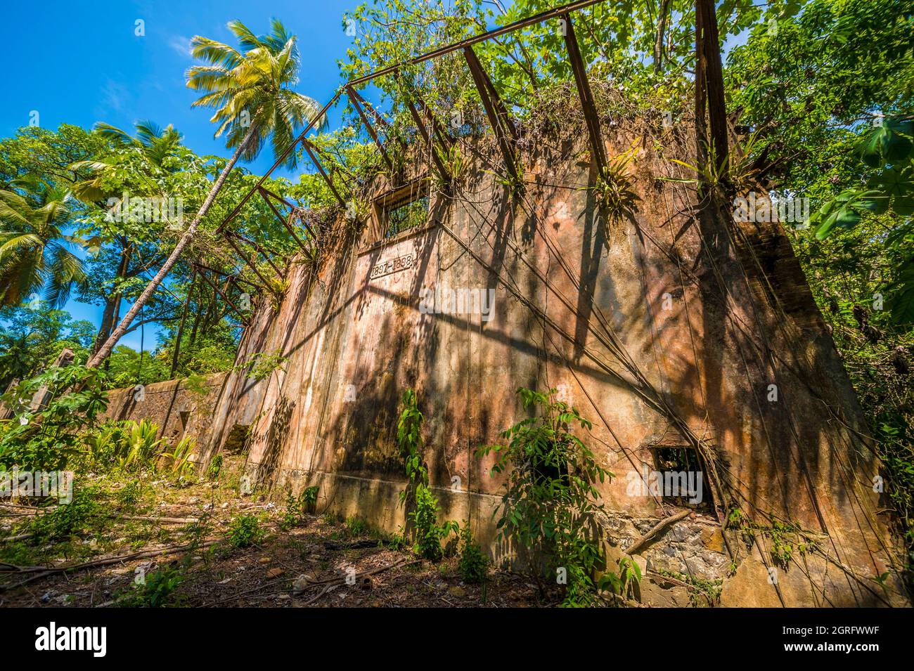 Frankreich, Französisch-Guayana, Kourou, Heilsinseln, Saint-Joseph-Insel und die Überreste des Gefängnisses, das der Abgeschiedenheit der starken Köpfe und der Entkommenen gewidmet ist Stockfoto
