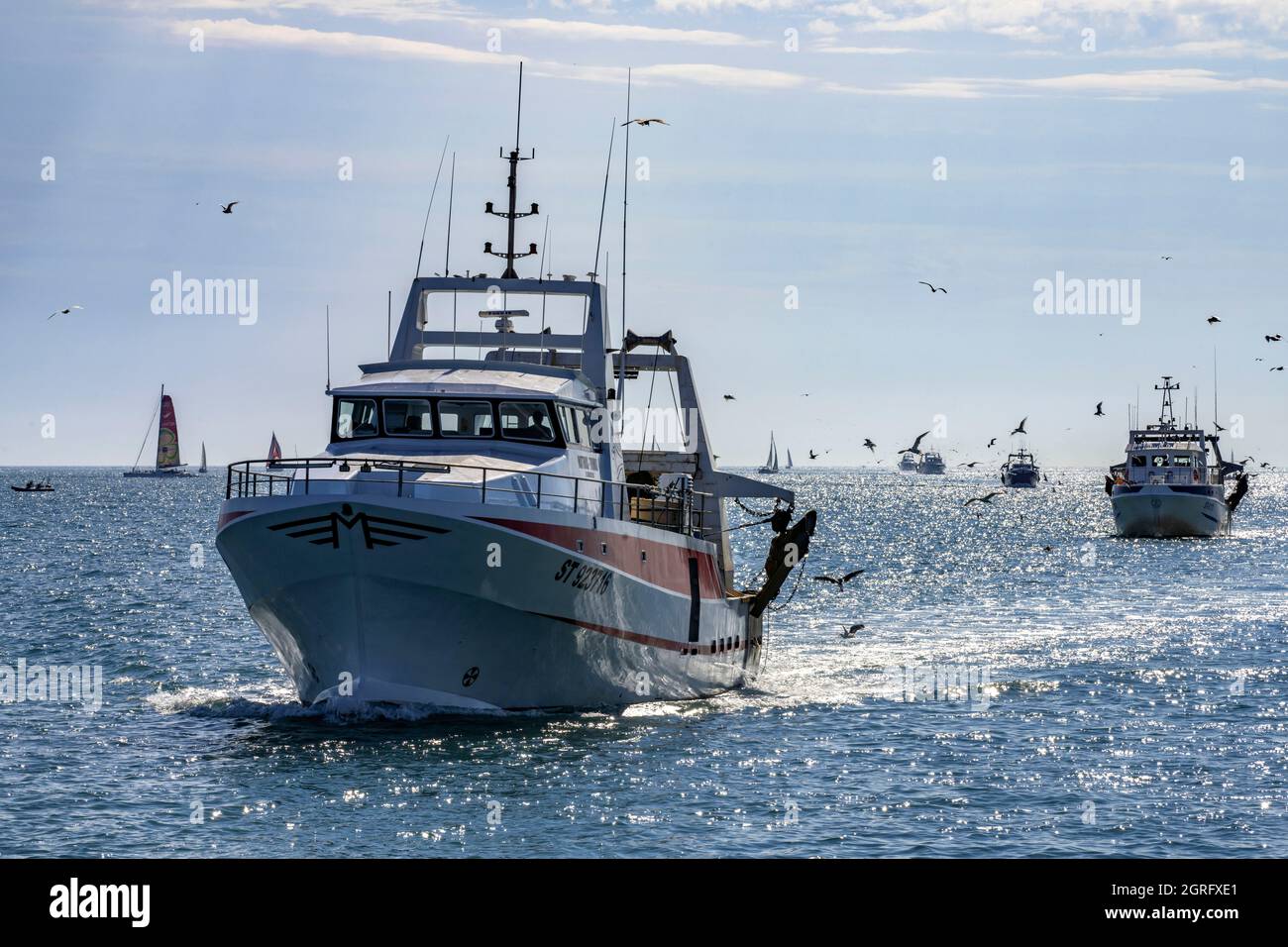 Frankreich, Gard, Le Grau du ROI, zurück vom Fischfang Stockfoto