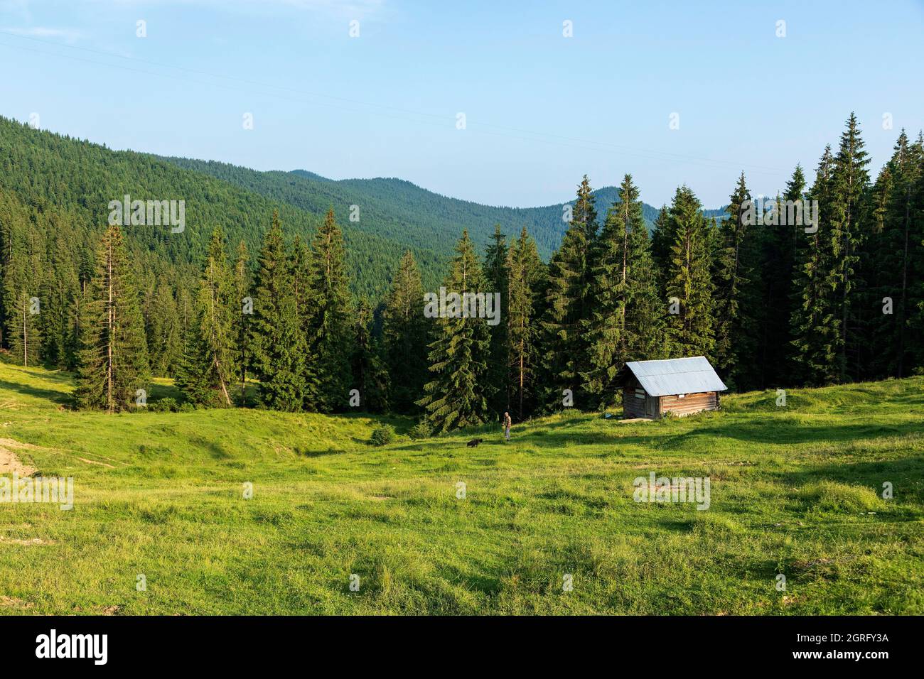 Rumänien, Bucovina, Ciumarna, Landschaft Stockfoto