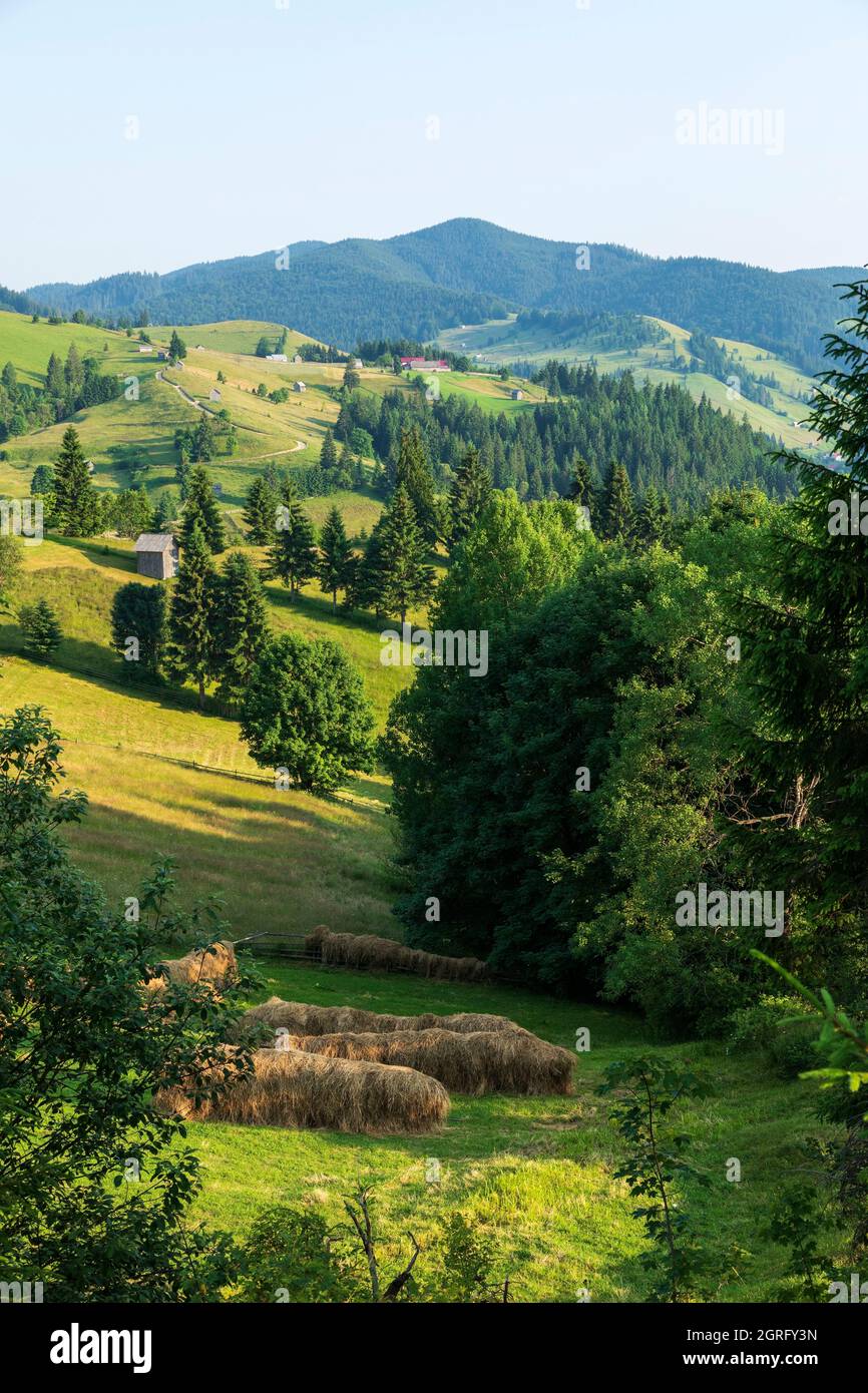 Rumänien, Bucovina, Ciumarna, Landschaft Stockfoto