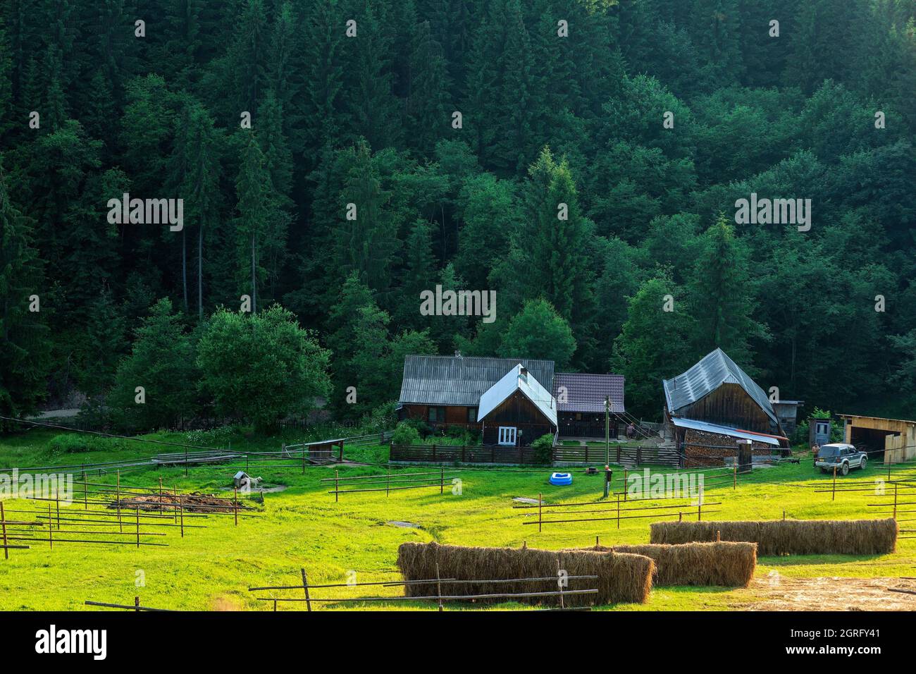 Rumänien, Bucovina, Ciumarna, Landschaft Stockfoto