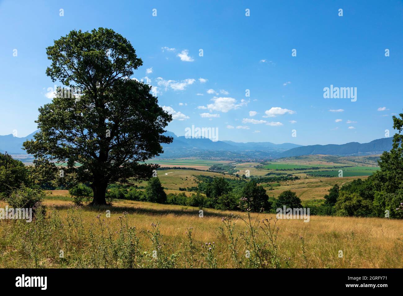 Rumänien, Siebenbürgen, Zarnesti, Landschaft Stockfoto