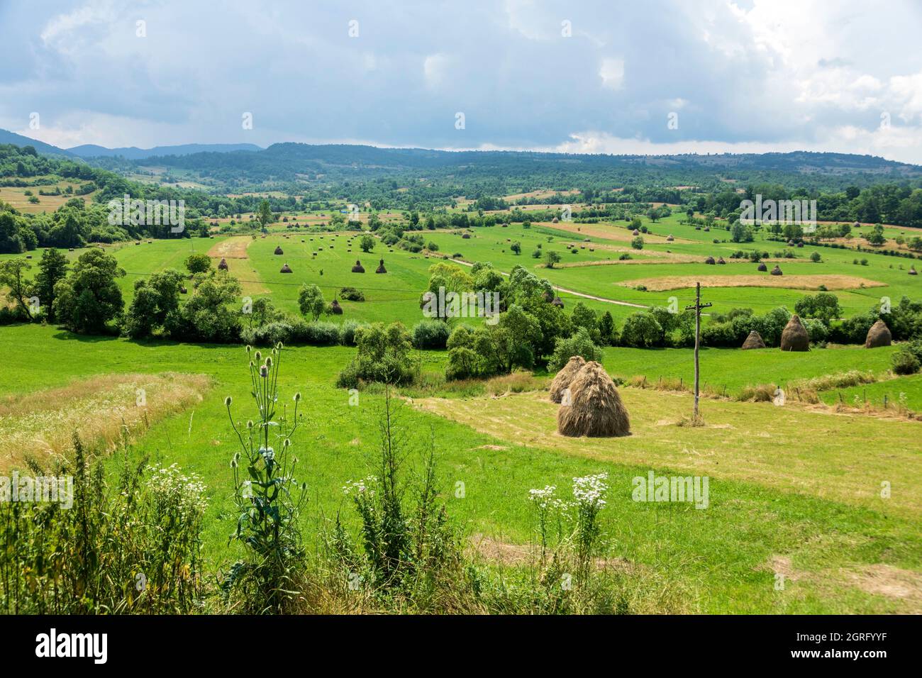 Rumänien, Region Maramures, Calinesti, Landschaft Stockfoto