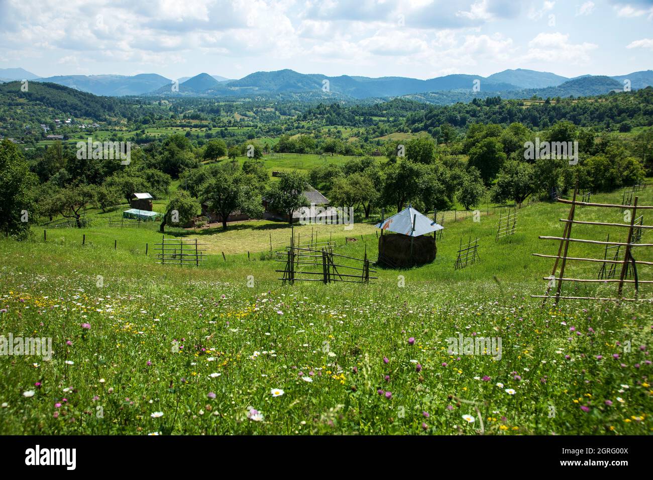 Rumänien, Region Maramures, Poienile Izei, Landschaft Stockfoto