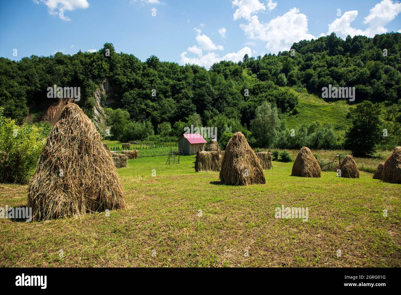 Rumänien, Region Maramures, Poienile Izei, Landschaft, Heu Stockfoto