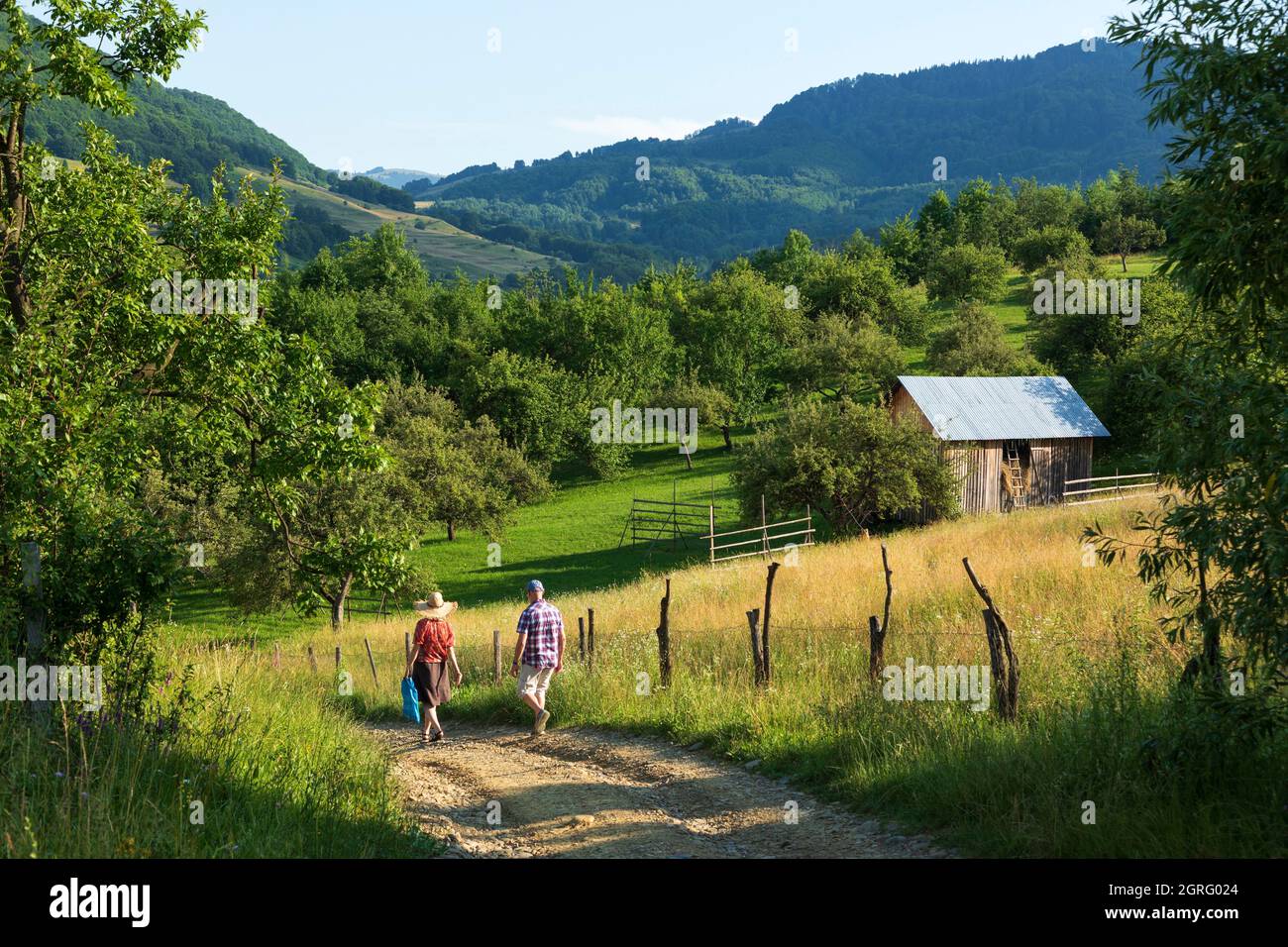 Rumänien, Region Maramures, Glod, Landschaft Stockfoto