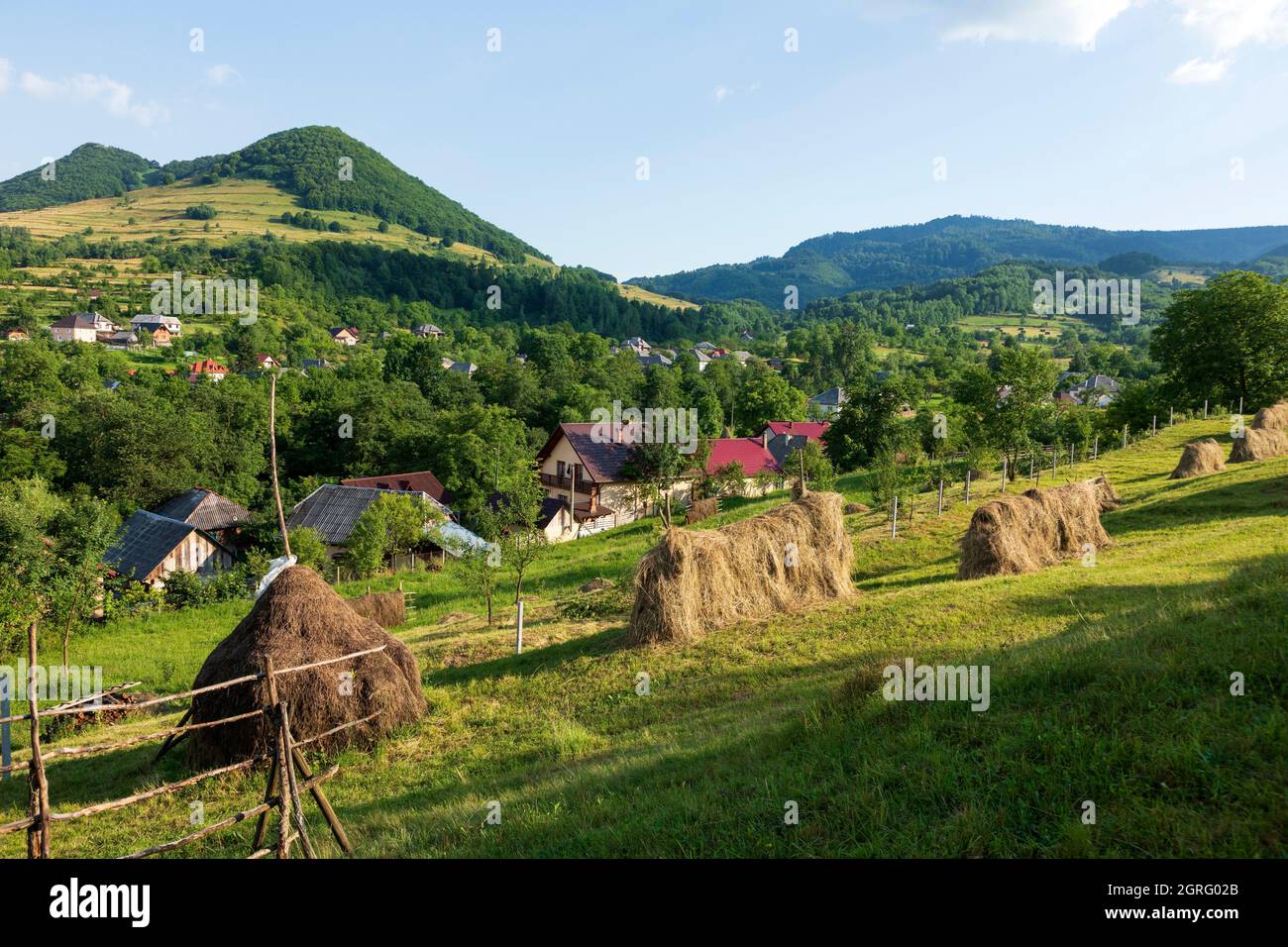 Rumänien, Region Maramures, Glod, Heu, Landschaft Stockfoto