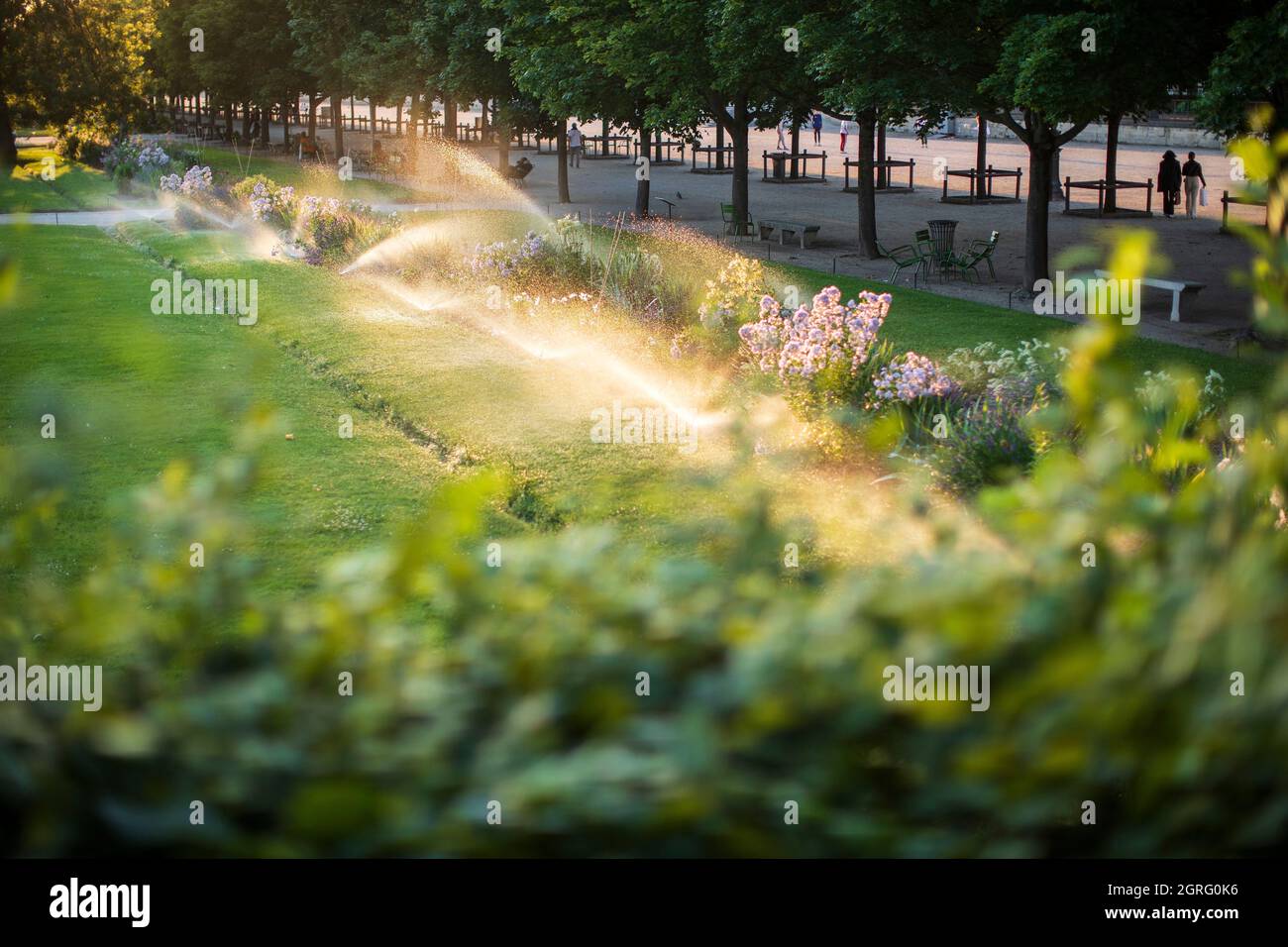 Frankreich, Paris, von der UNESCO zum Weltkulturerbe ernanntes Gebiet, Tuilerien-Garten Stockfoto