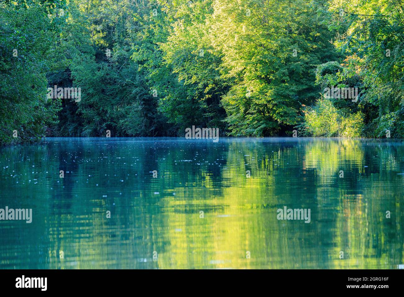 Frankreich, Savoie, zwischen Chanaz und Chindrieux, Saveres Kanal Stockfoto