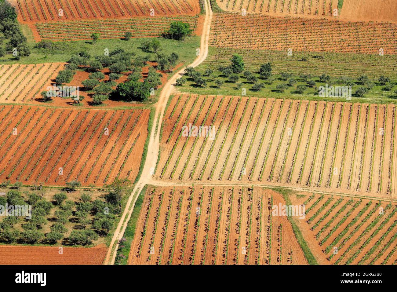 Frankreich, Var, Provence Verte, Correns, Weinberge und Olivenhaine (Luftaufnahme) Stockfoto