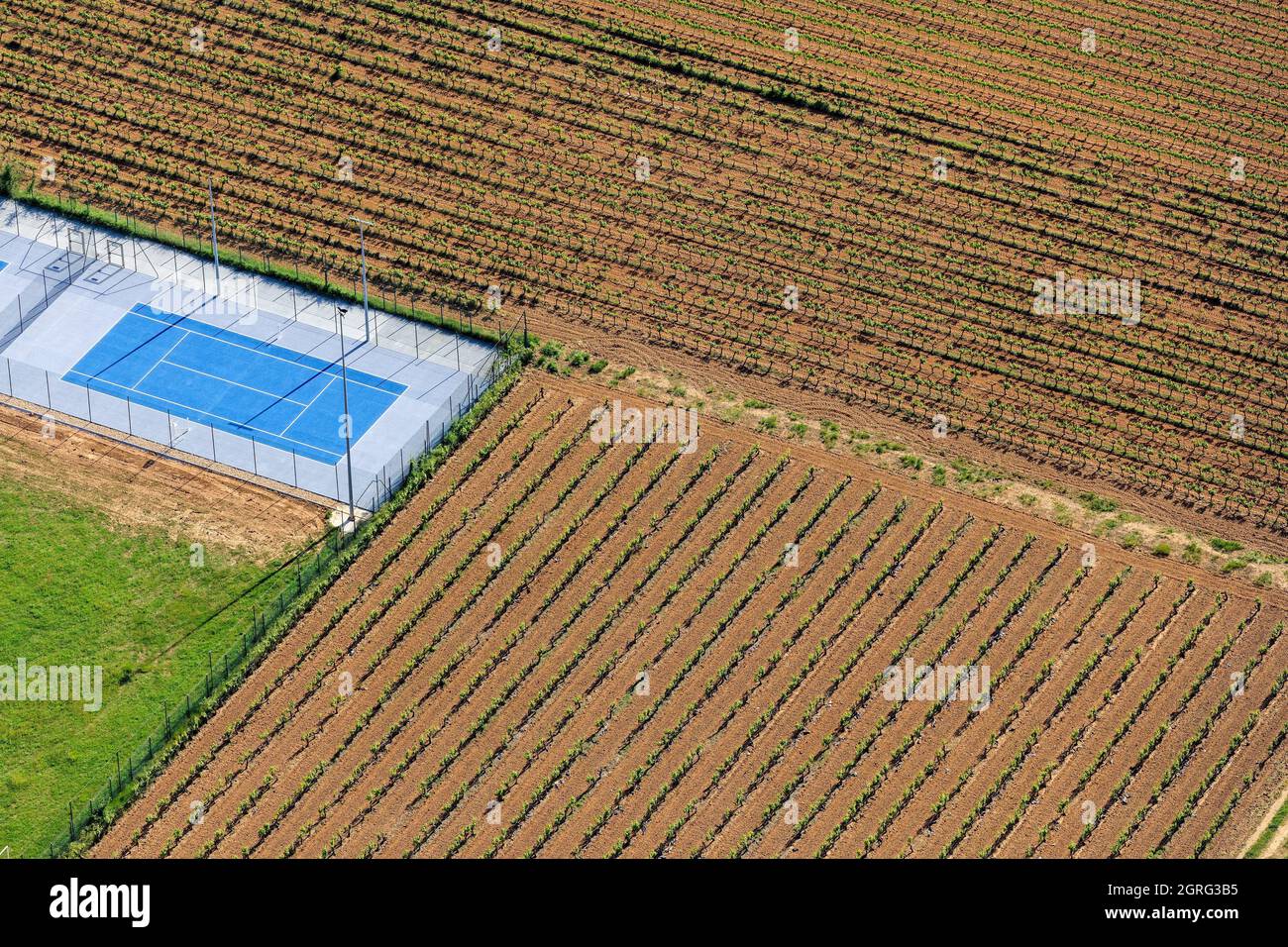 Frankreich, Var, Provence Verte, Carces, Tennisplatz, Weinberge (Luftaufnahme) Stockfoto