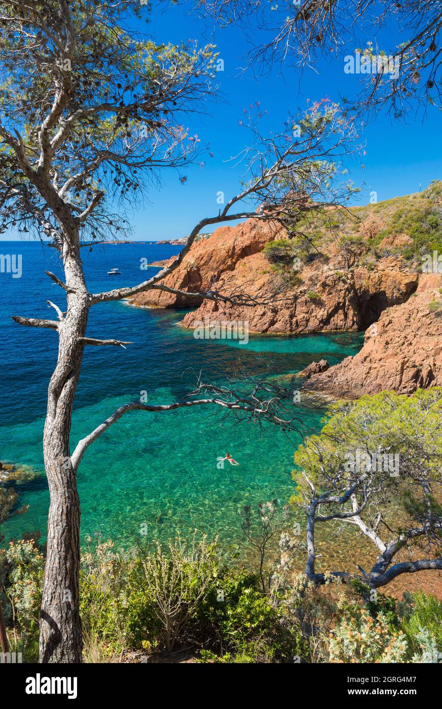 Frankreich, Var, Corniche de l'Esterel oder corniche d'Or, Saint Raphael, Le Trayas, Calanque de Saint-Barthelemy Stockfoto