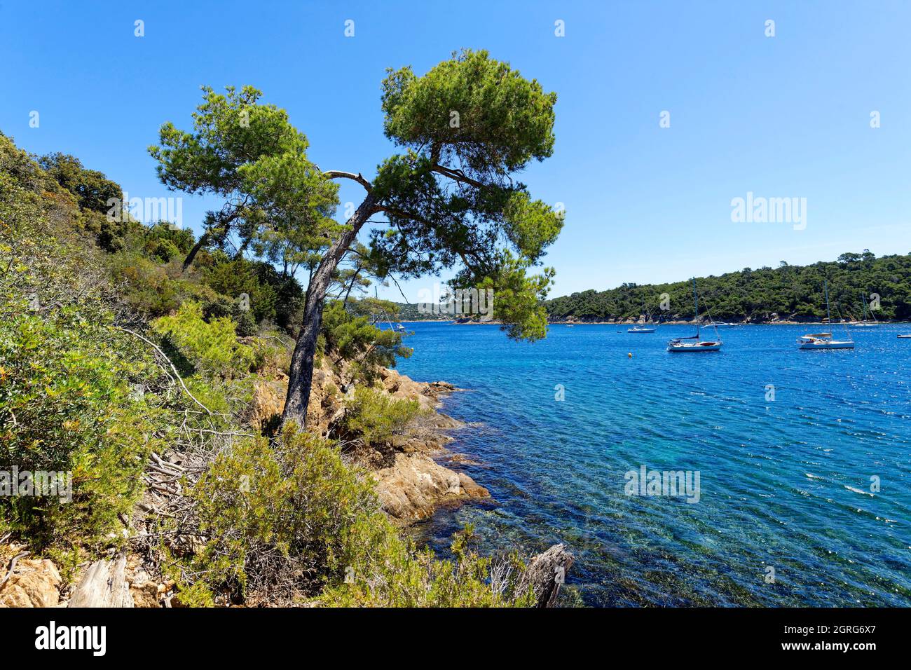 Frankreich, Var, HyeresInseln, Nationalpark von Port Cros Insel von