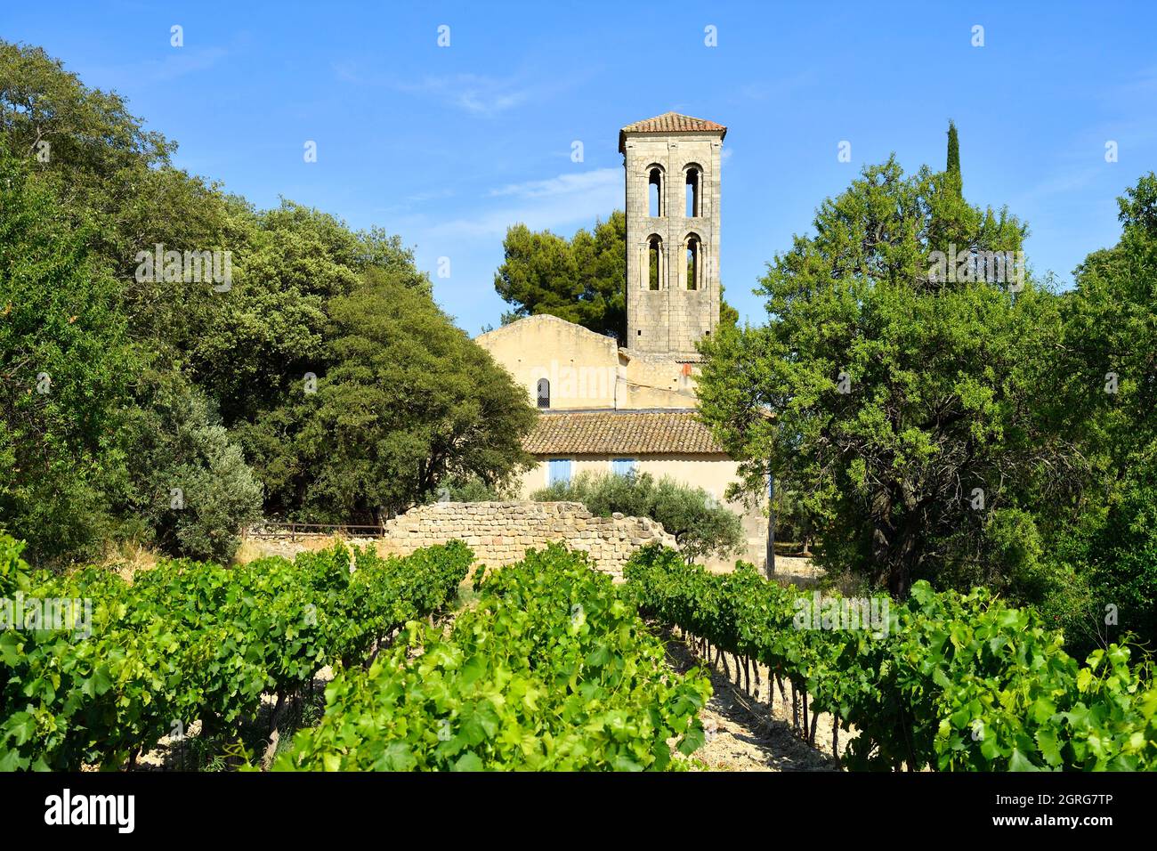 Frankreich, Vaucluse, Beaumes de Venise, Notre Dame de Aubune Kapelle (11. Und 12. Jahrhundert) ist eines der schönsten Beispiele der romanischen Kunst von Provençal Stockfoto