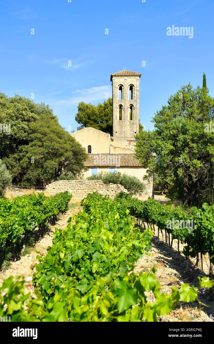 Frankreich, Vaucluse, Beaumes de Venise, Notre Dame de Aubune Kapelle (11. Und 12. Jahrhundert) ist eines der schönsten Beispiele der romanischen Kunst von Provençal Stockfoto