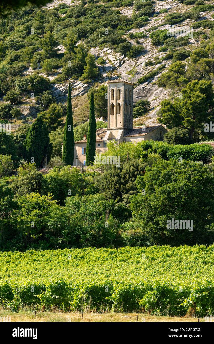 Frankreich, Vaucluse, Beaumes de Venise, Notre Dame de Aubune Kapelle (11. Und 12. Jahrhundert) ist eines der schönsten Beispiele der romanischen Kunst von Provençal Stockfoto