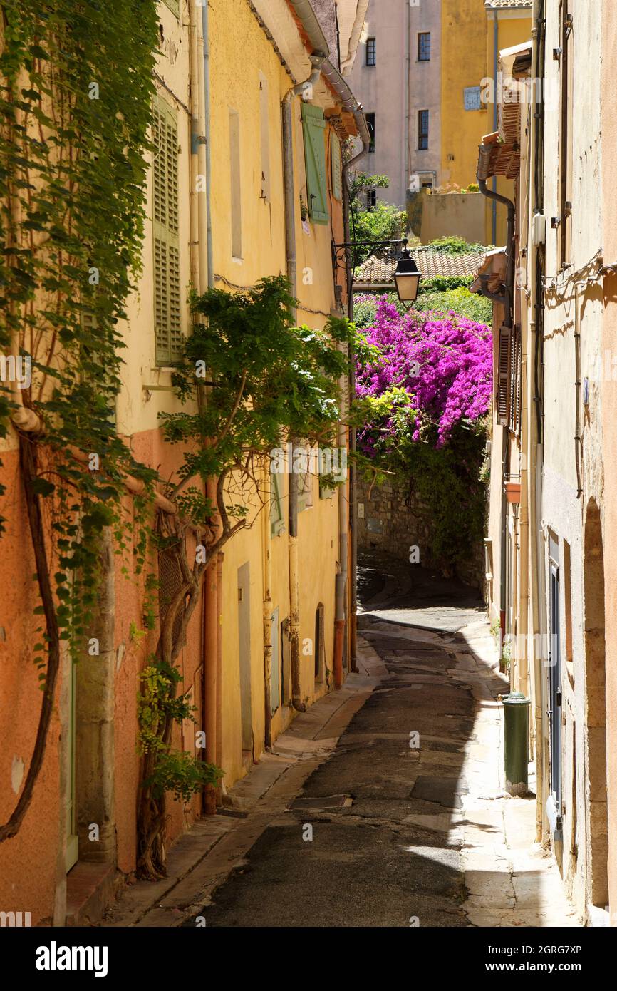 Frankreich, Var, Hyeres, Altstadt, Rue du Paradis Stockfoto