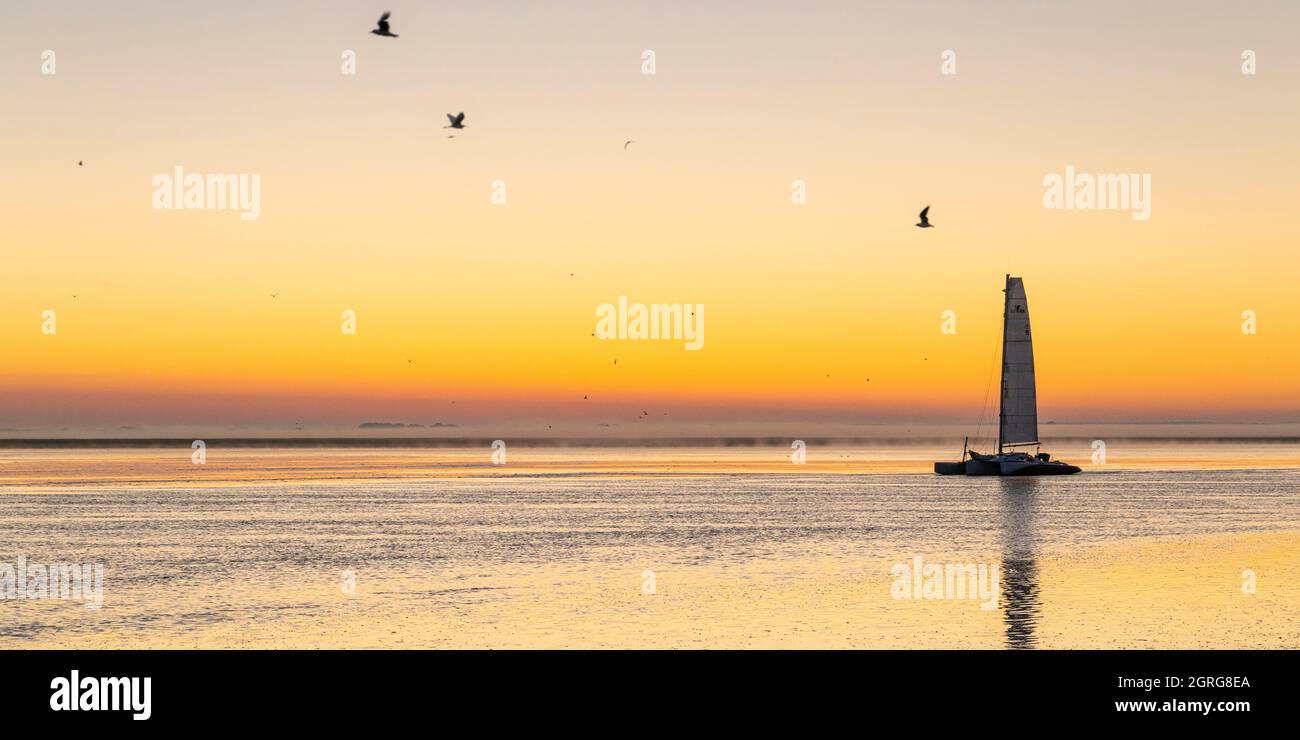 Frankreich, Somme (80), Somme Bay, Saint-Valery-sur-Somme, Cap Hornu, Abfahrt eines Segelbootes im Kanal der Somme am frühen Morgen vor Crotoy Stockfoto