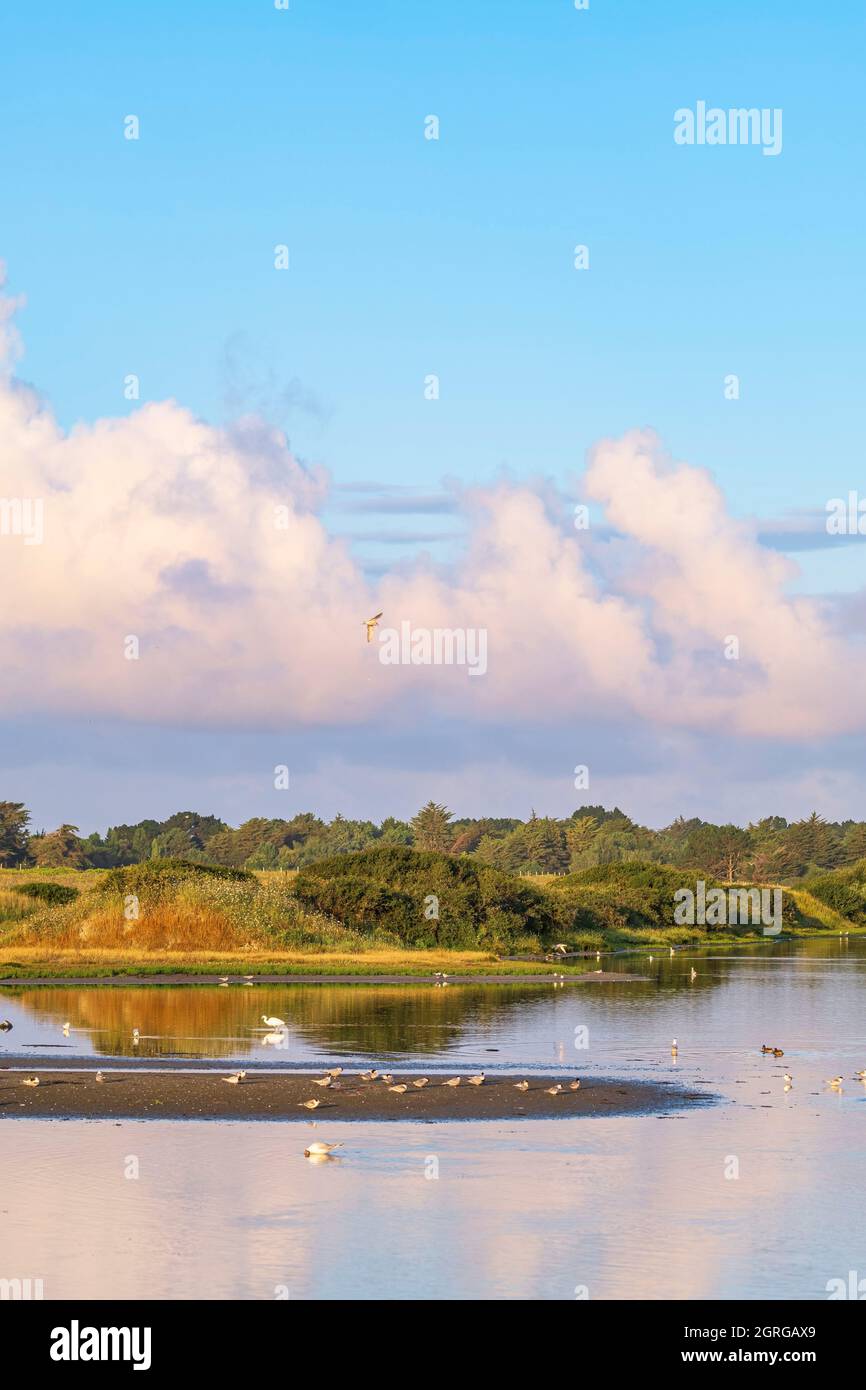 Frankreich, Morbihan, Golf von Morbihan, Halbinsel Rhuys, Sarzeau, Die