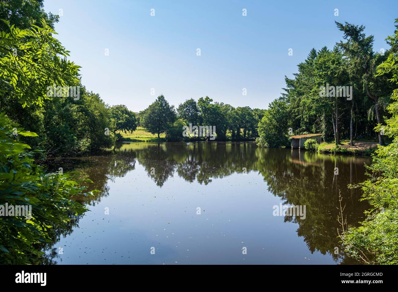 Frankreich, Ille-et-Vilaine, Saint-Broladre, Dorf entlang des GR 34-Wanderweges oder Zollweges, Haut-Teich Stockfoto