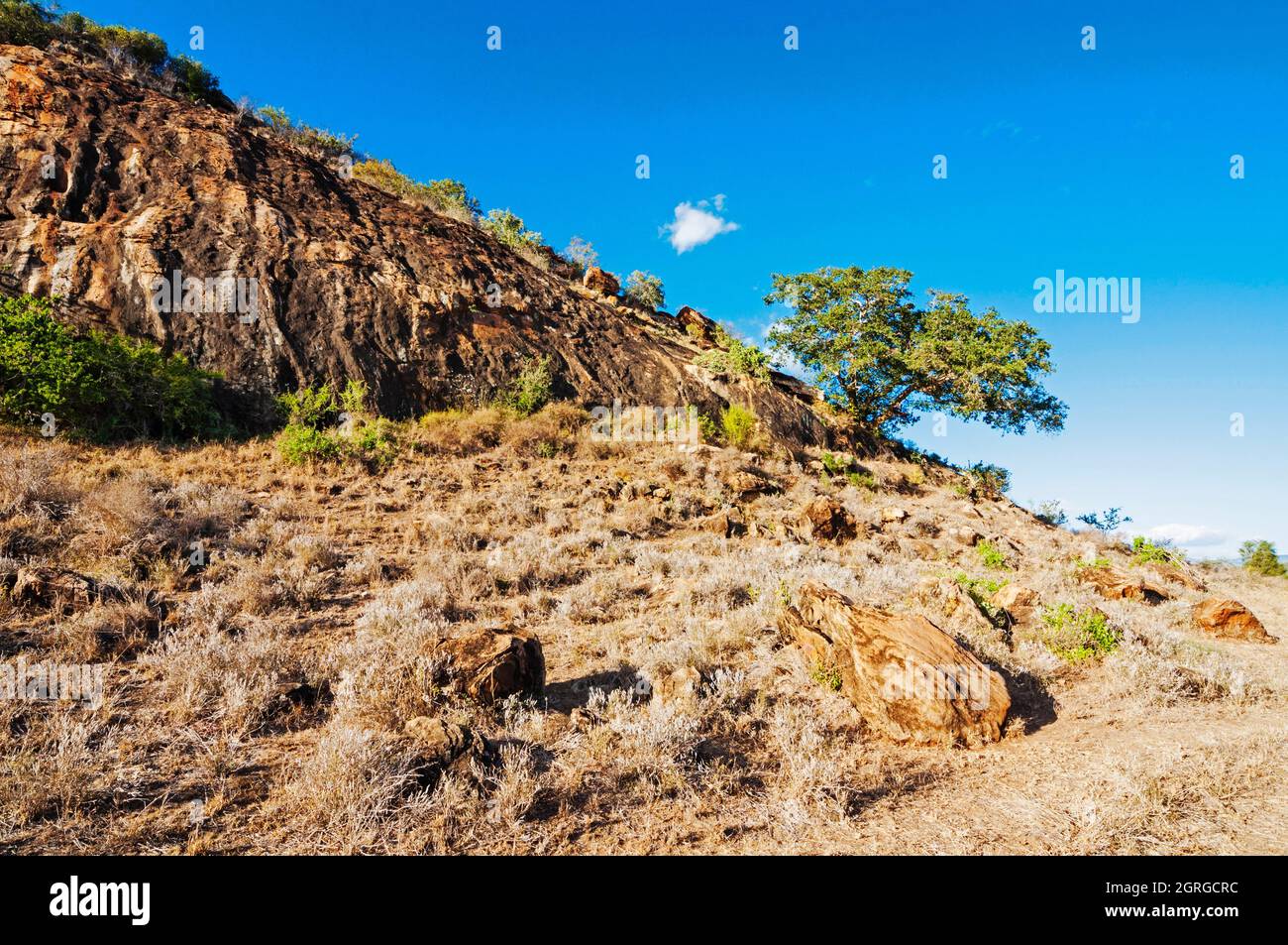 Luania Rocks Rock types -Fotos und -Bildmaterial in hoher Auflösung – Alamy