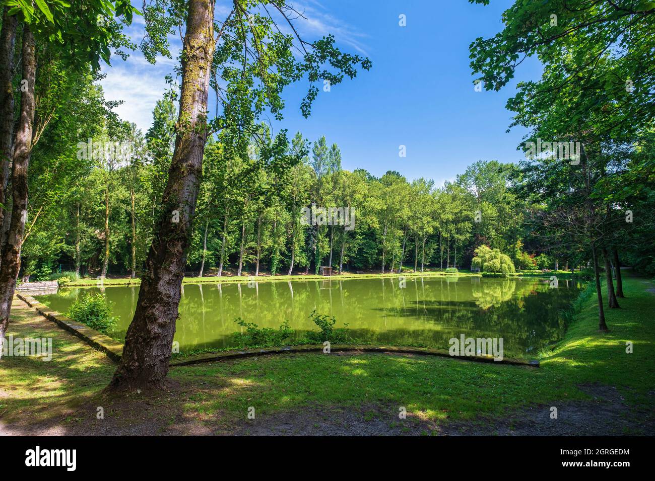 Frankreich, Ille-et-Vilaine, Saint-Malo, Rosais Teich entlang des GR 34 Wanderweg oder Zollweg Stockfoto