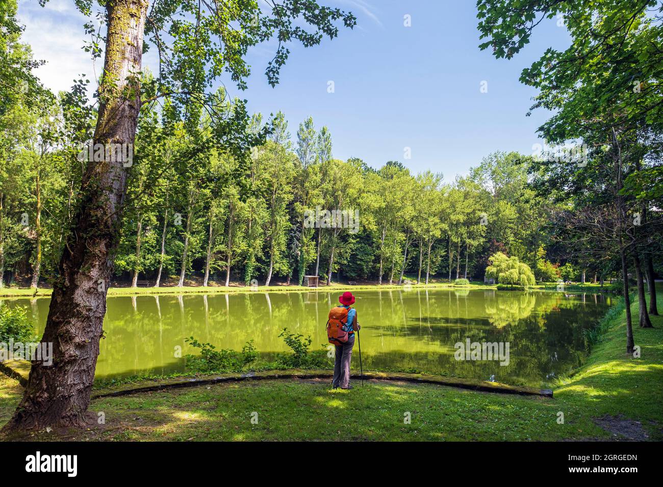 Frankreich, Ille-et-Vilaine, Saint-Malo, Rosais-Teich, Wanderung entlang der GR 34 Wanderweg oder Zollweg Stockfoto