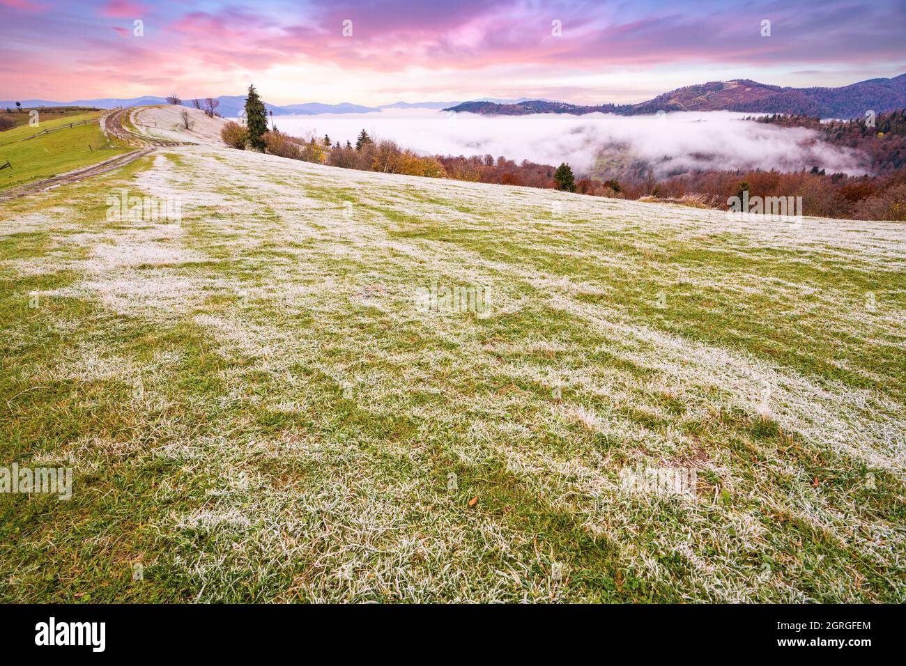 Eine Lichtung im Frost nach einer frostigen Nacht in den mit Wäldern bedeckten Bergen Stockfoto