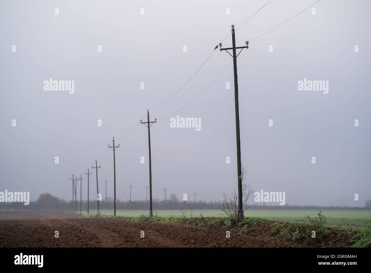 Serie von Telefonmasten im Feld und dichten Nebel katalonien, spanien Stockfoto