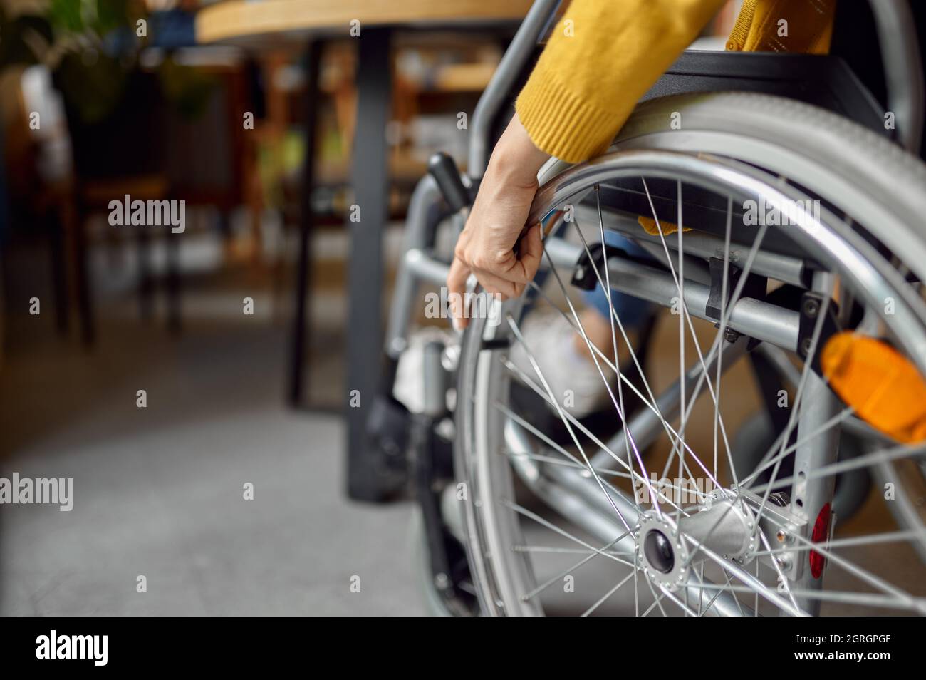 Behinderte Studentin im Rollstuhl, behinderte Frau Stockfoto