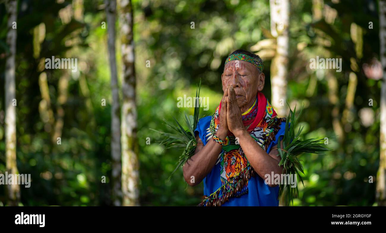 Cofan-indigener Schamane, der mit Händen betet, schloss sich dem Regenwald des Amazonas an Stockfoto