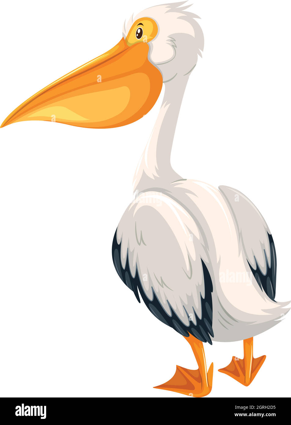 Ein Pelikan auf weißem Hintergrund Stock Vektor