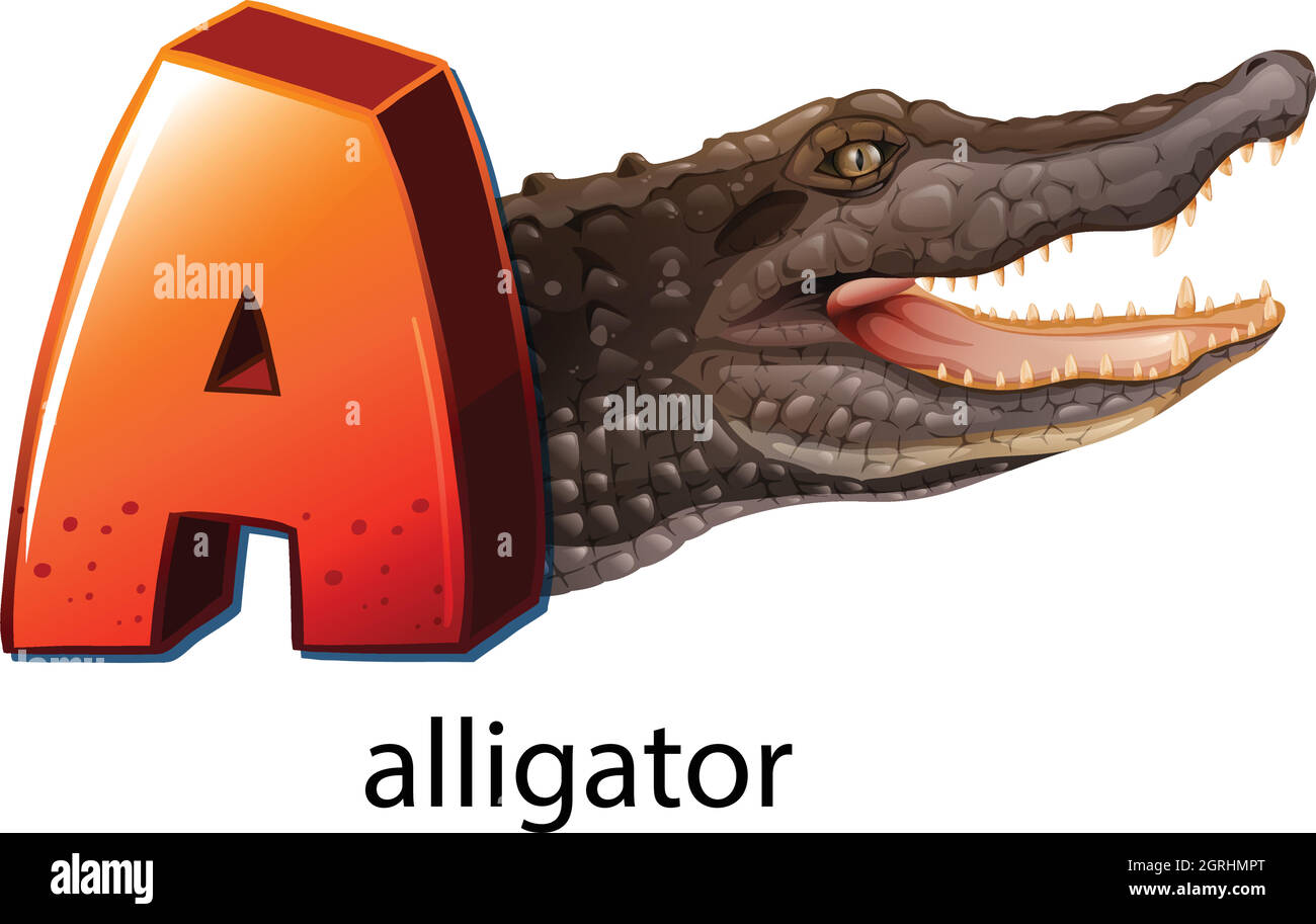 Ein Buchstabe A für Alligator Stock Vektor