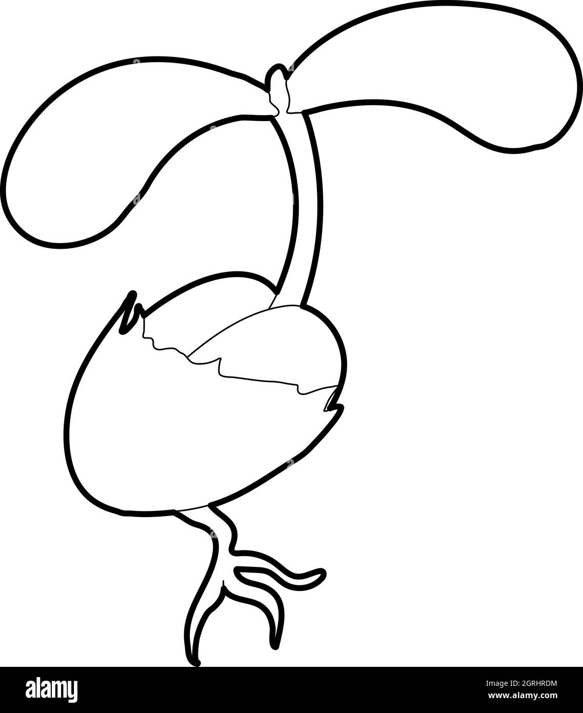 Sprießen Sie, wachsen aus Samen Symbol, isometrischen 3d Stil Stock Vektor