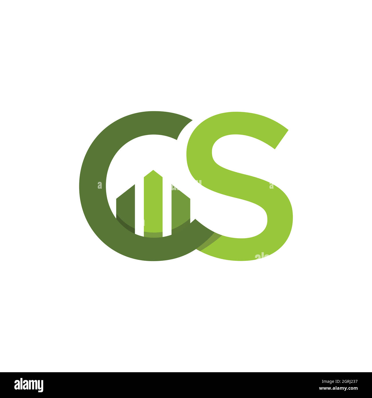 Anfangsschreiben CS Business und Finanzen Logo Konzept Design Bild. Letter CS mit Business-Grafikleisten Icon-Vektor-Design Stock Vektor